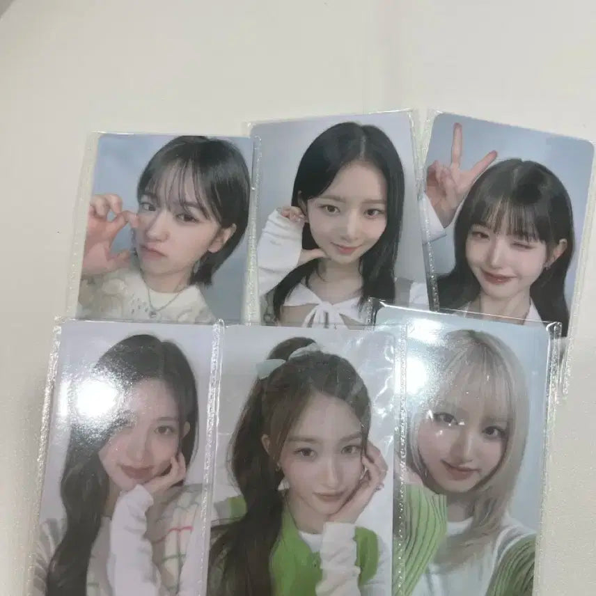 아이브 파파존스 포카 6개 셑