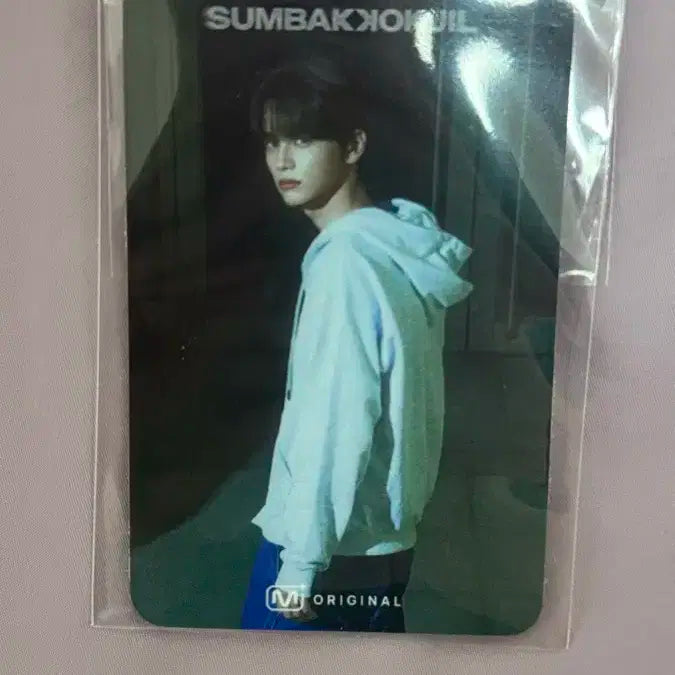 신유 숨바꼭질 포카 투어스 tws shinyu