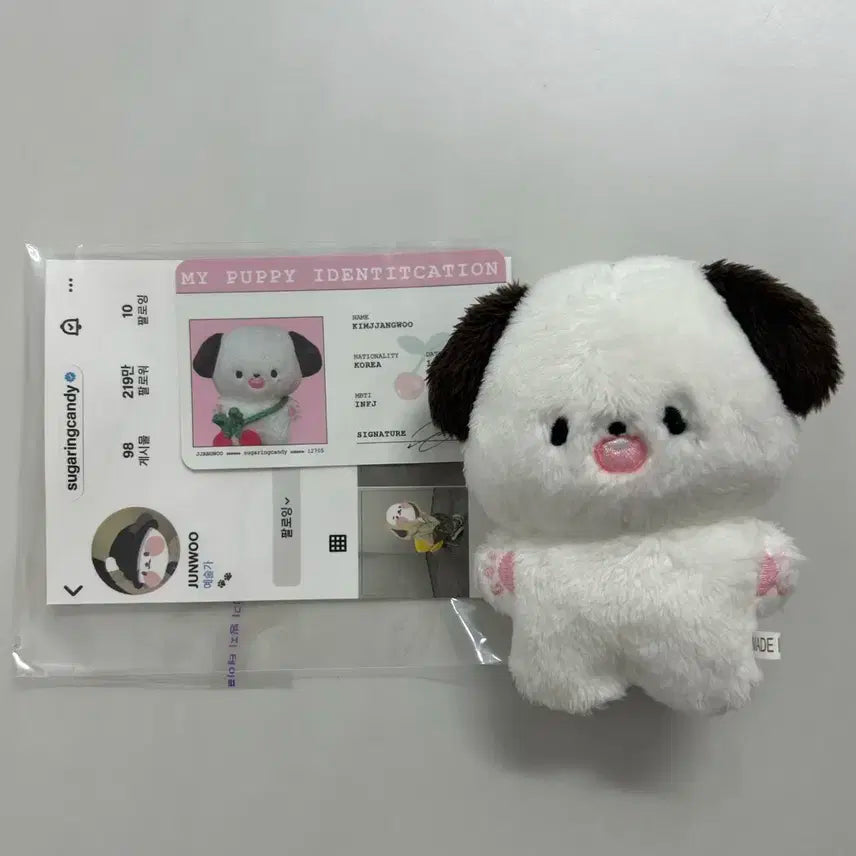 짱우 인형 NCT127 엔시티 정우 인형