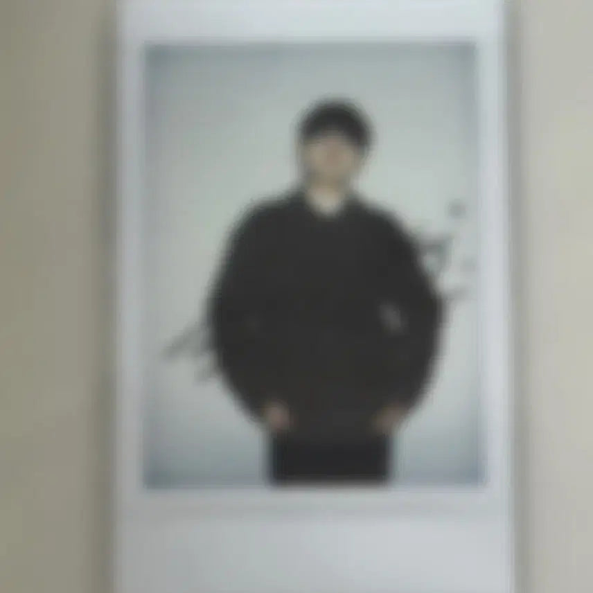 루시 원상 폴라 싸폴