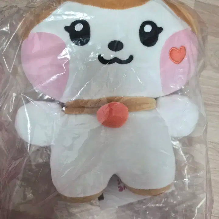 아이브 미니니 치즈니