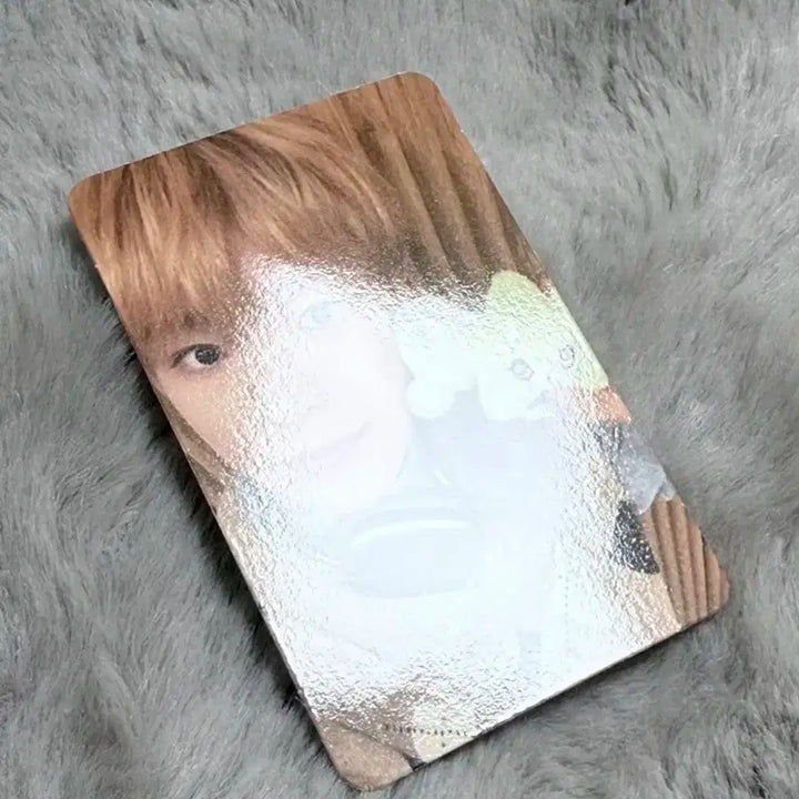 엔시티위시 위츄 개봉 유우시 풀셋