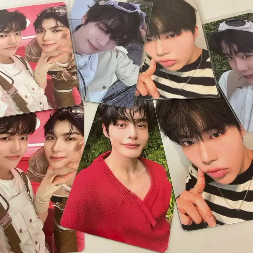 제로베이스원 제베원 포카 (폭덤)