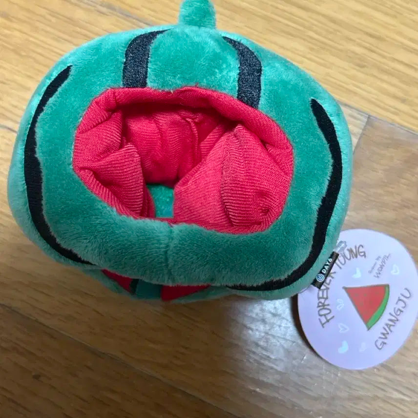 DAY6 데이식스 forever young 광주 데니멀즈 코스튬 시티버전