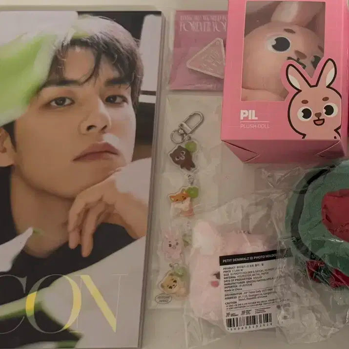 데이식스 데니멀즈 필끼 몽필이 원필