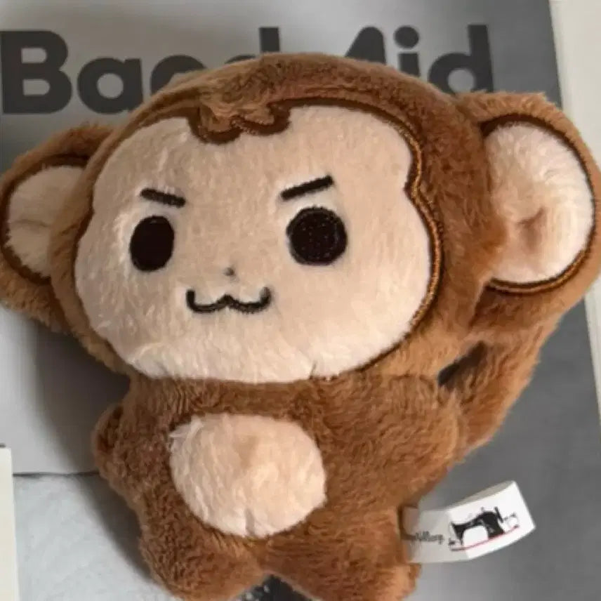 데이식스 데니멀즈 필끼 몽필이 원필