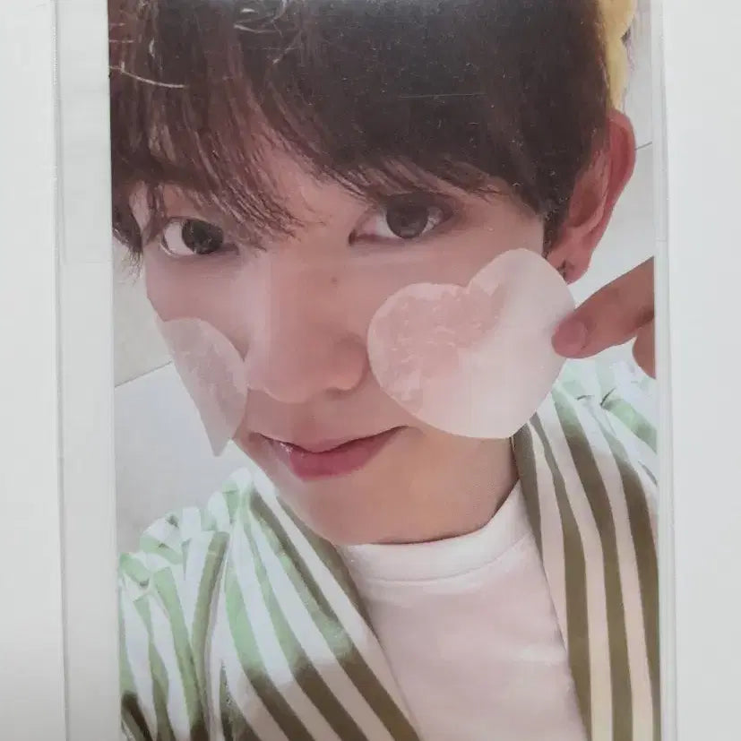 보플 아카이브 판저이 포카 판매