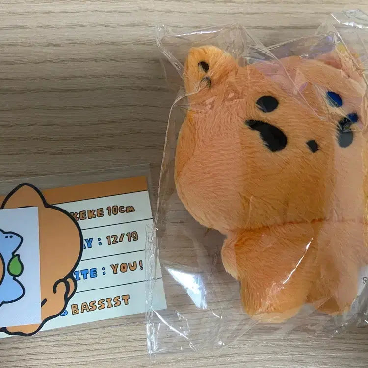 데이식스 레터님 케케 인형 10cm 미개봉 특전 포함 원가양도