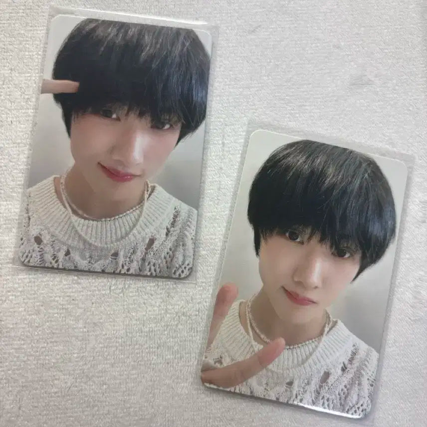 엔시티 지성 2024시그트레카 일괄