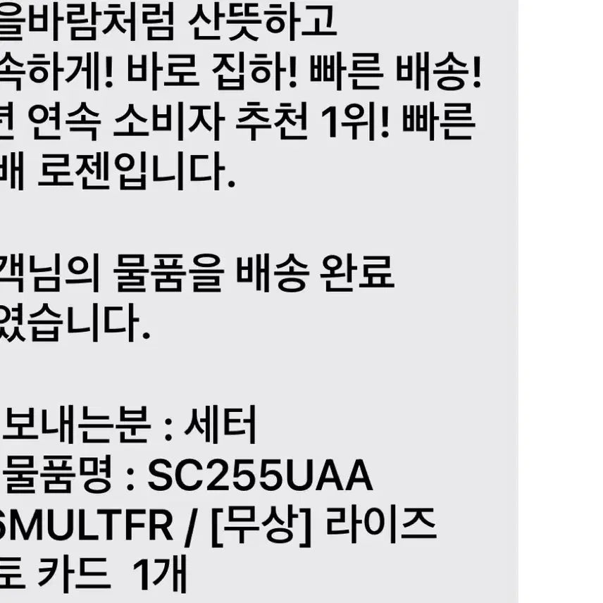 라이즈 세터 포카 세트 일괄