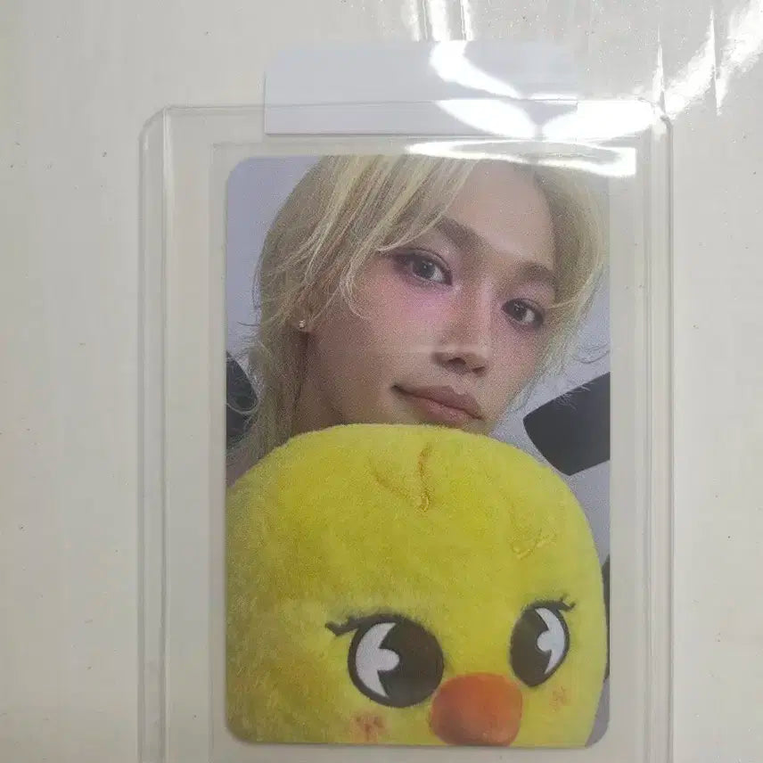 스트레이키즈 팝업 구매특전 포카 필릭스 1 card