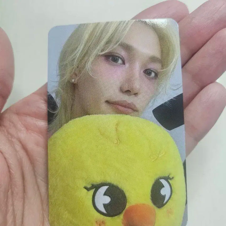 스트레이키즈 팝업 구매특전 포카 필릭스 1 card