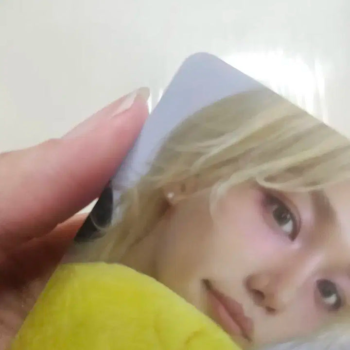 스트레이키즈 팝업 구매특전 포카 필릭스 1 card