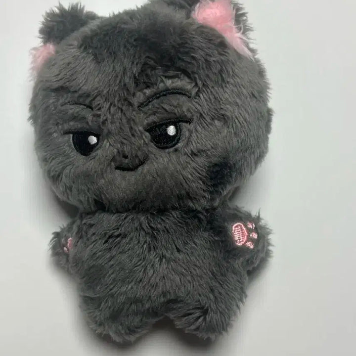 엔하이픈 제이 미국냥 양도합니다