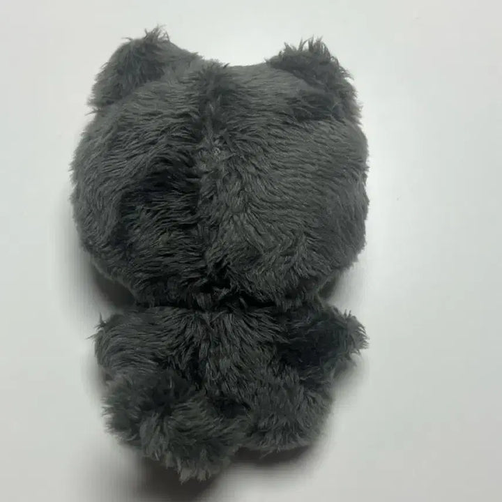 엔하이픈 제이 미국냥 양도합니다