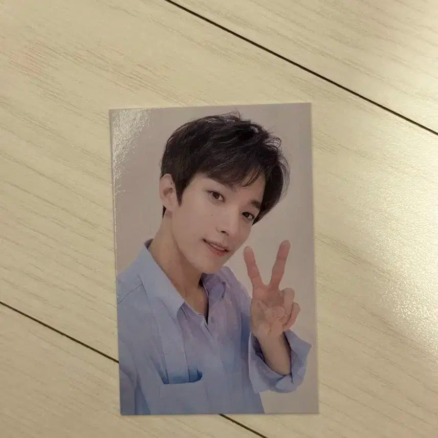 세븐틴 캐럿랜드 캐럿존포카 도겸