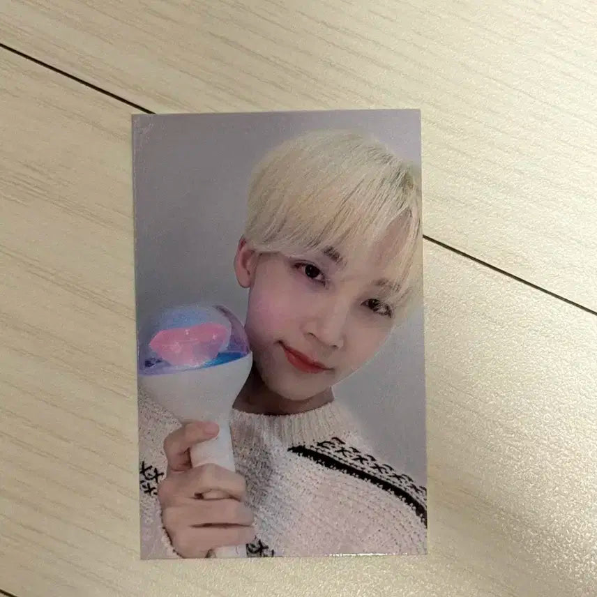 세븐틴 캐럿랜드 캐럿존 정한포카