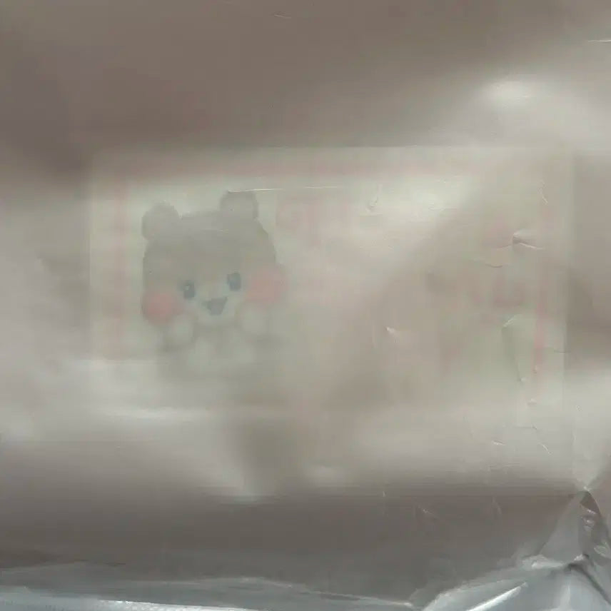 스파오 비니니 제로니 노트북 파우치 제로베이스원 제베원 성한빈