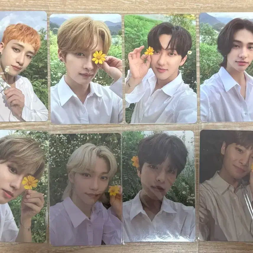 스키즈 꽃포카 노이지 한정반 포카 양도