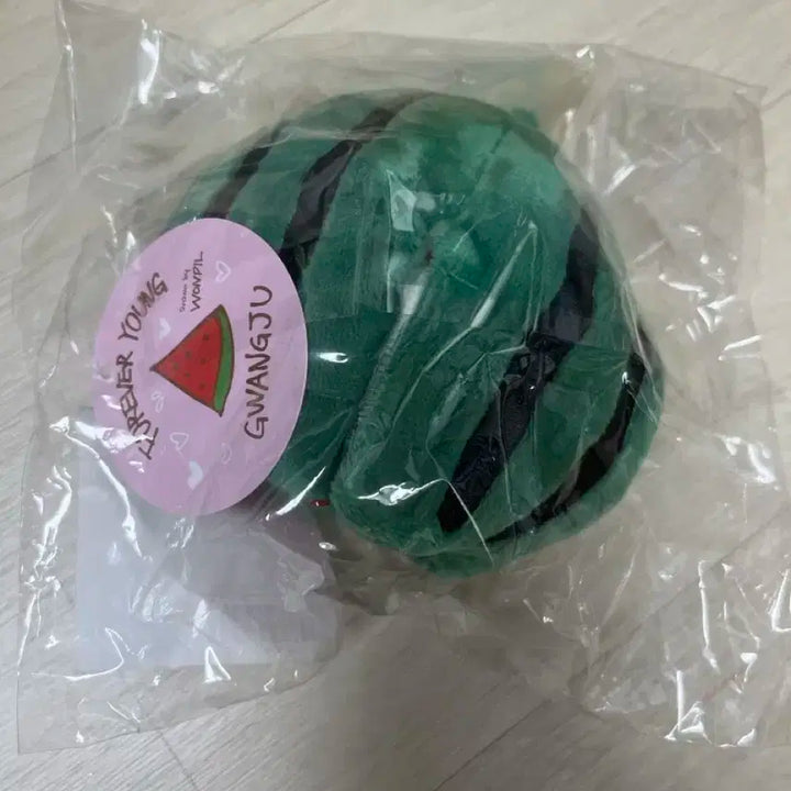 (미개봉 원가양도) 데이식스 포에버영 광주콘 수박 코스튬