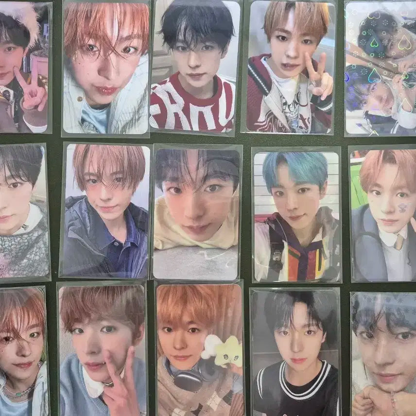 엔시티 위시 유우시 포카 일괄