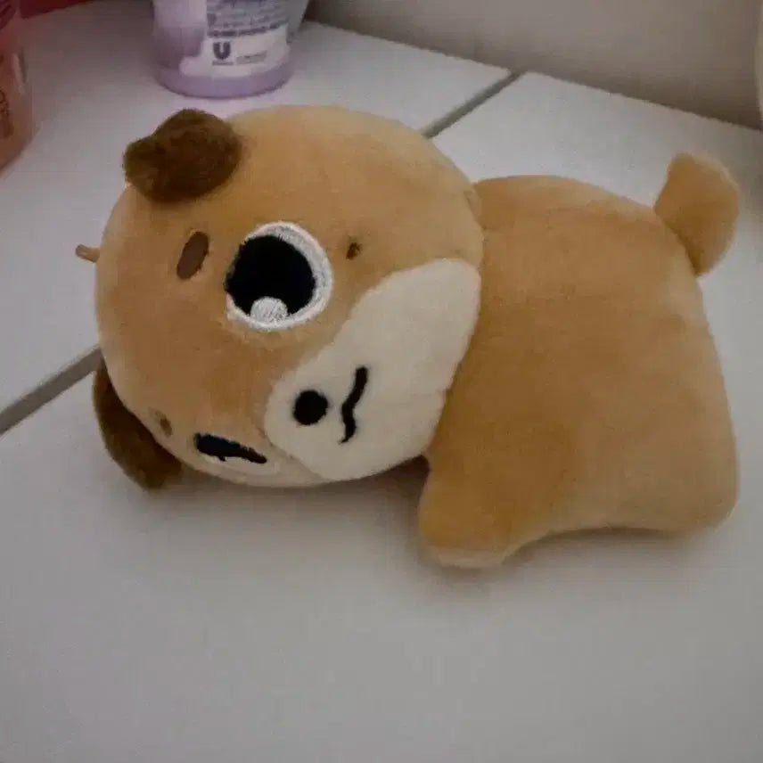 데이식스 돈 손난로