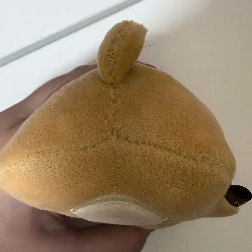 데이식스 돈 손난로