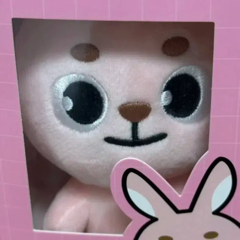 데이식스 데니멀즈 20필끼
