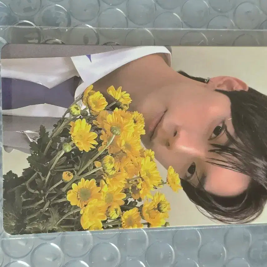 보플 아카이브 2주차 최립우 5번 포카