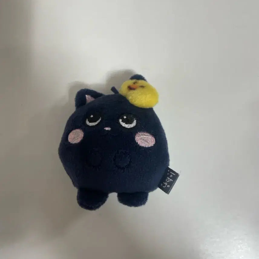 라이즈 토냥덕 미니돌+토냥덕 머리 곱창끈  팔아요