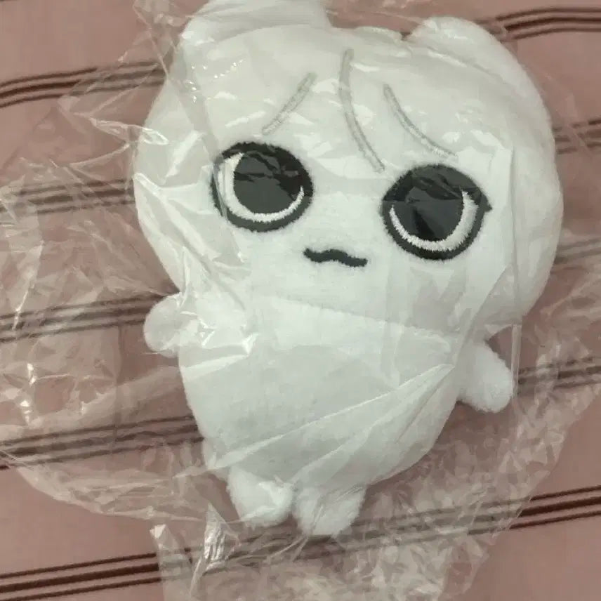 보이넥스트도어 성호 호쪼그 인형