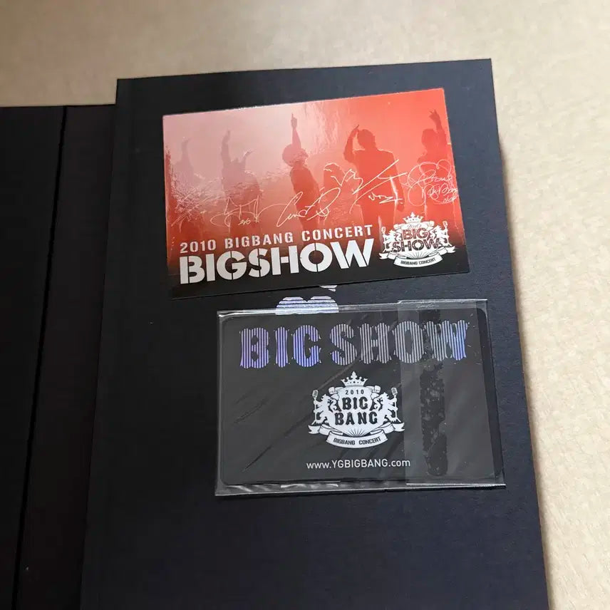 빅뱅 라이브콘서트 빅쇼 2010