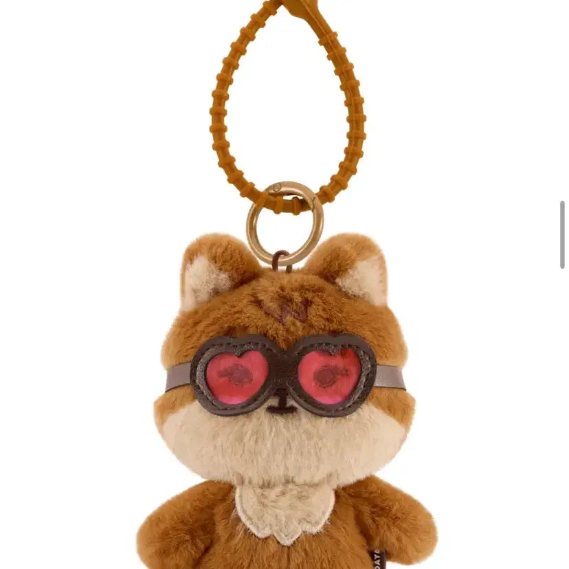 데이식스 데니멀즈 태닝 케