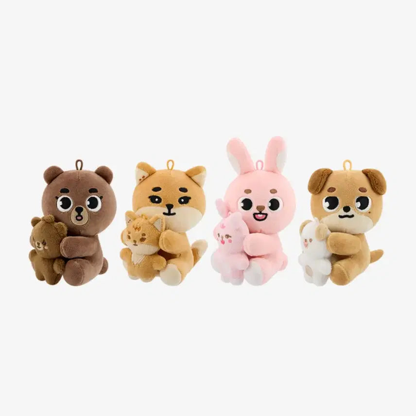 데이식스 마그넷 나안아 돈 양도