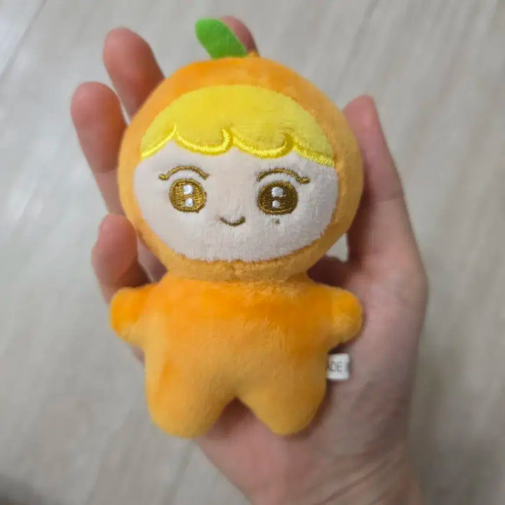 뿌금귤 세븐틴 승관 인형 연잎모자 세트