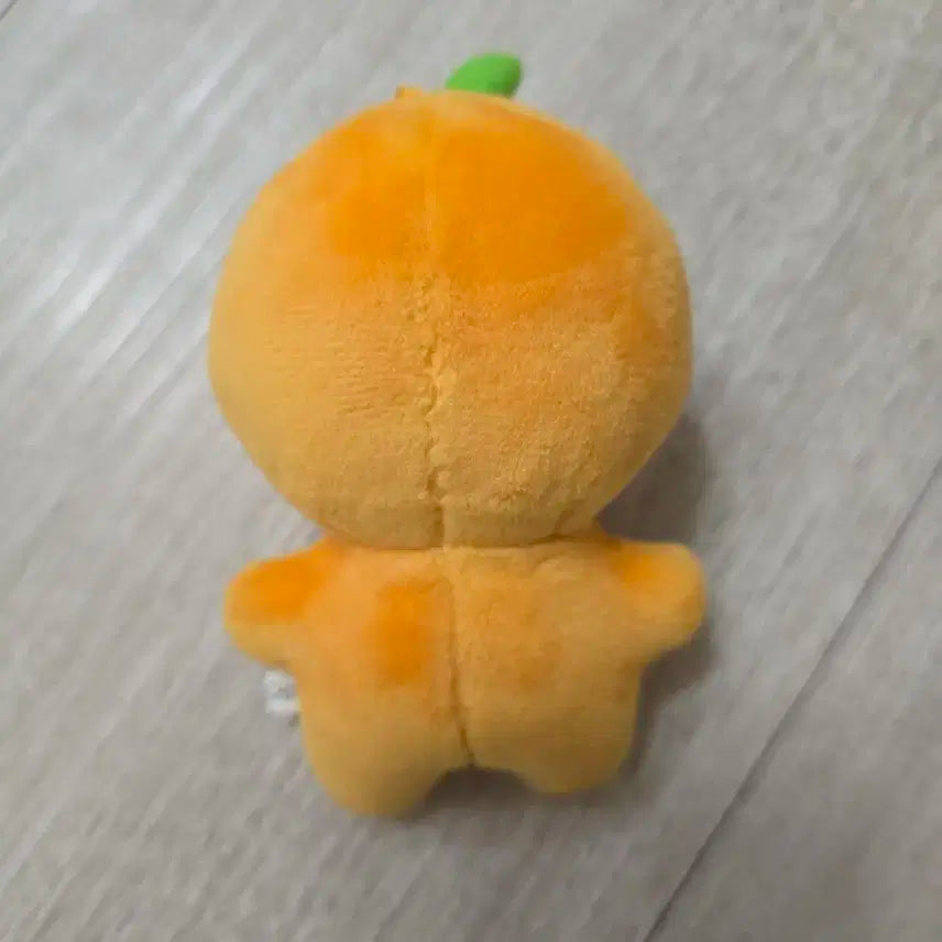 뿌금귤 세븐틴 승관 인형 연잎모자 세트