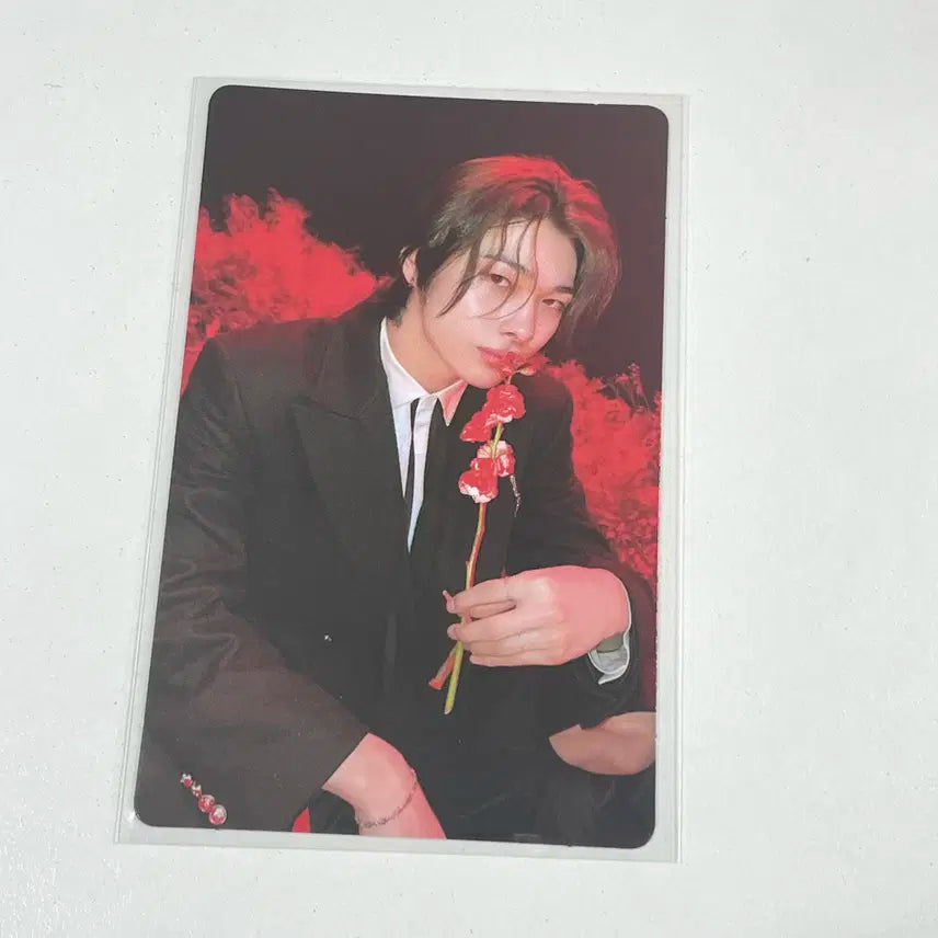 엔하이픈 니키 다크 블러드 바이트미 앨범 포카 포토카드