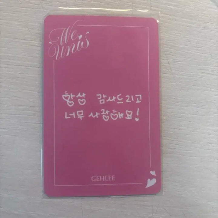 유니스 젤리당카 포카