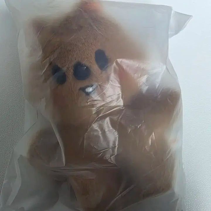 스트레이키즈 한쿼카 dominATE 스탠딩 버전