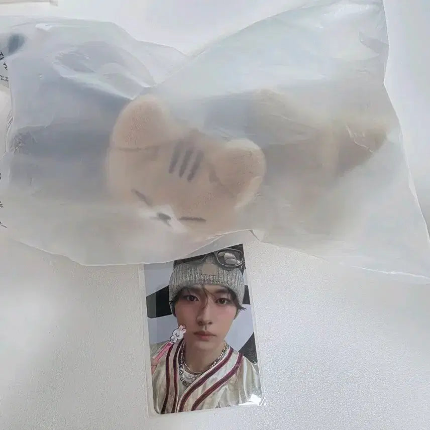 스키즈 리노 순둥도리 키링 세트