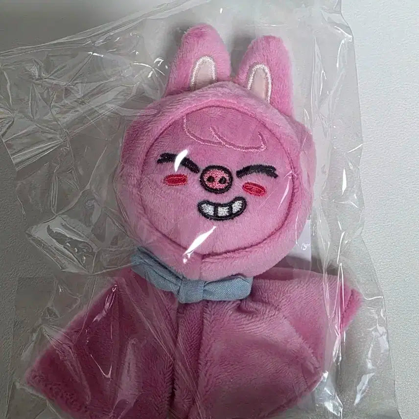 스키즈 창빈 돼끼 백참 시즈오카 md