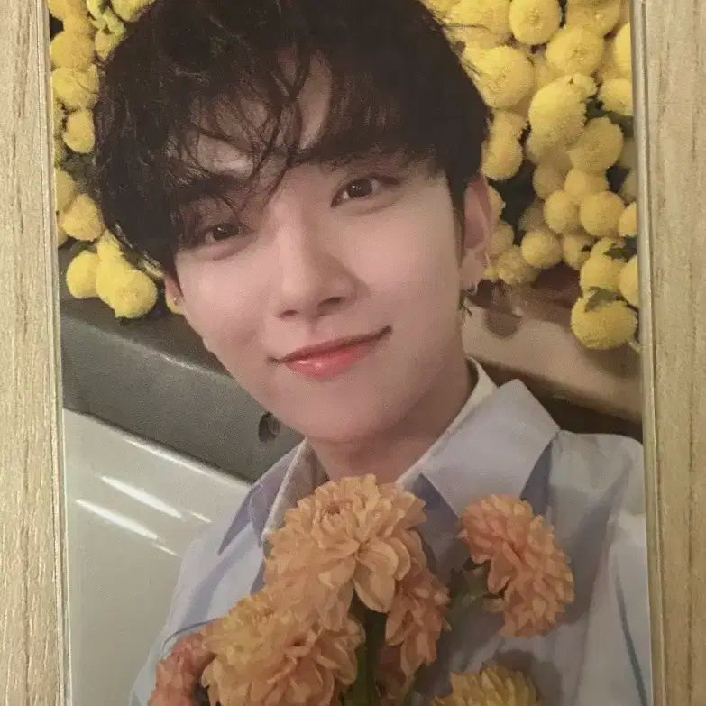 세븐틴 조슈아 유초 포카 your choice / 인형굿즈비공굿앨범