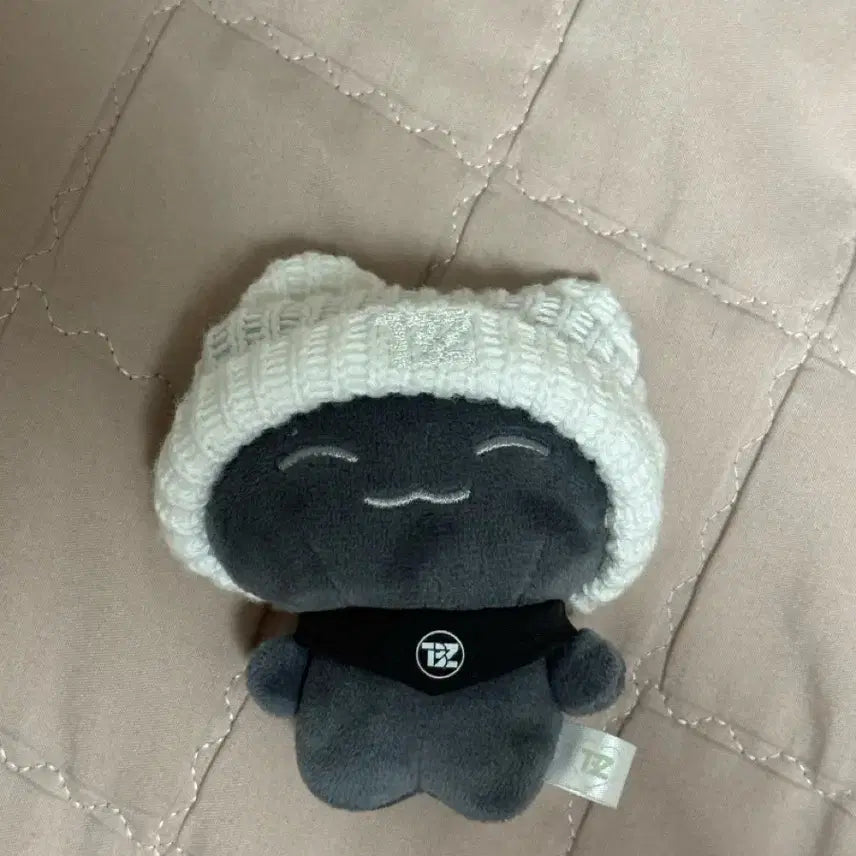 더보이즈 주연 제너레이션 인형 제이 양도합니다