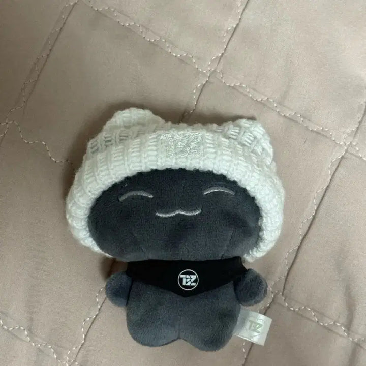 더보이즈 주연 제너레이션 인형 제이 양도합니다