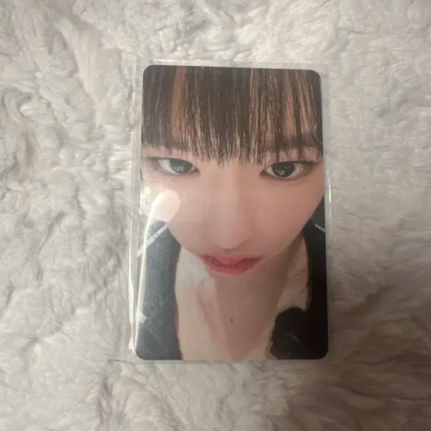 아이브 얼빡 유진 판매