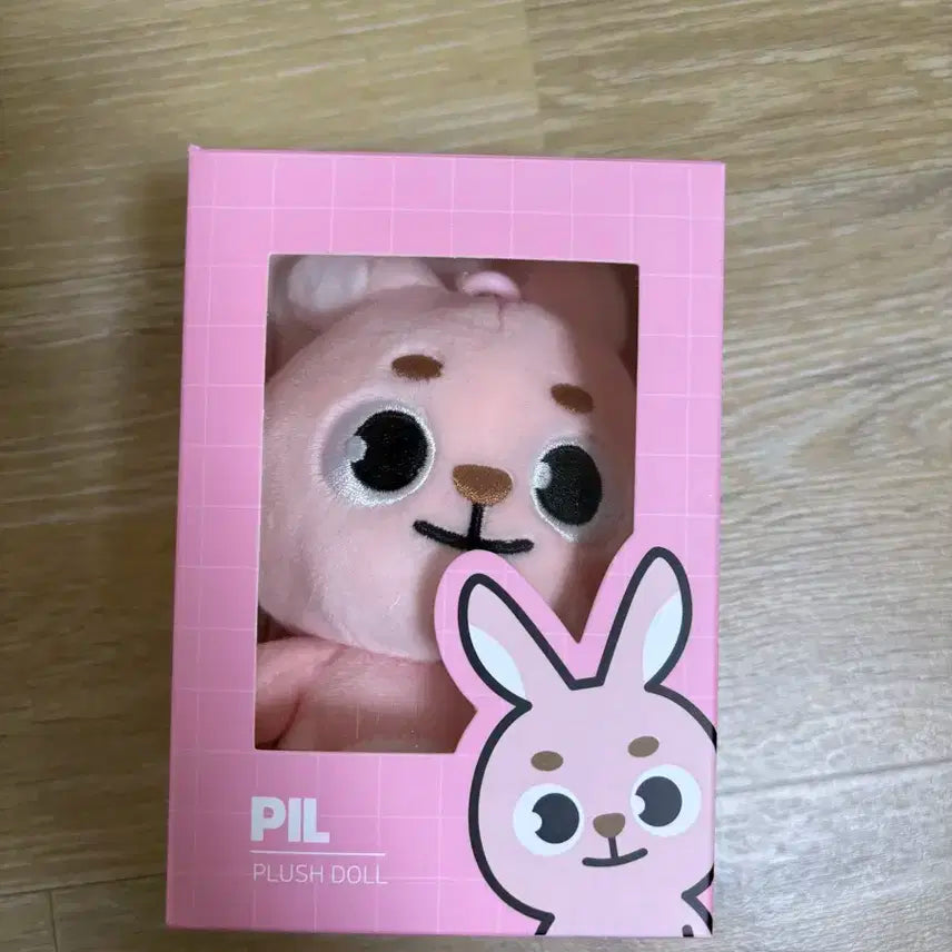 데이식스 데니멀즈 20필 20필끼