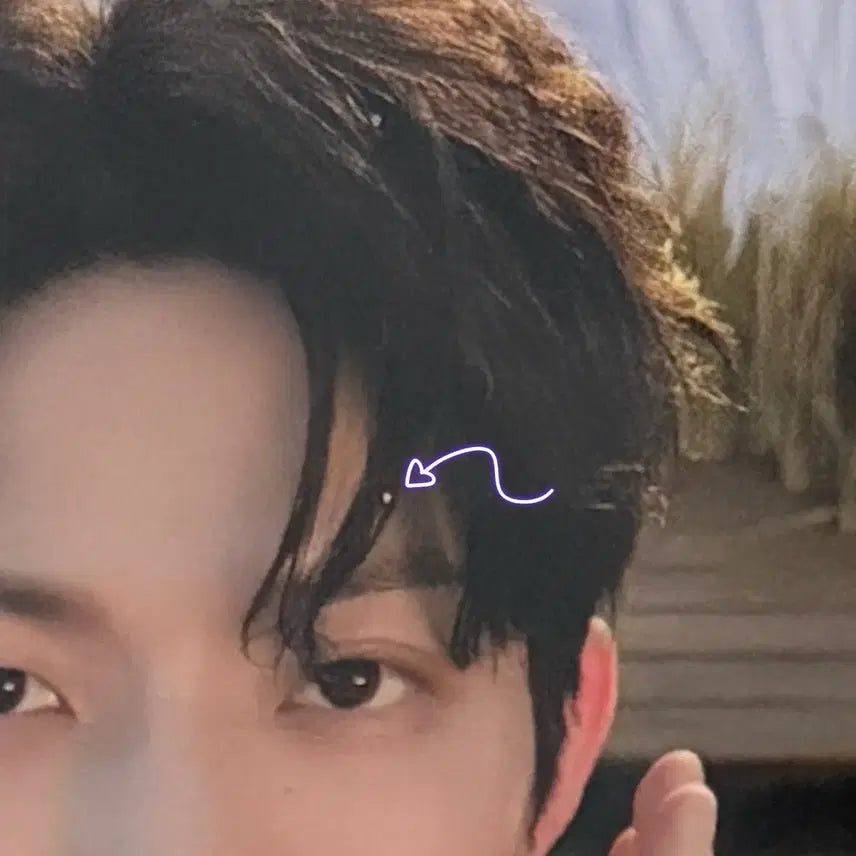 데이식스 데코세트 도운 포카