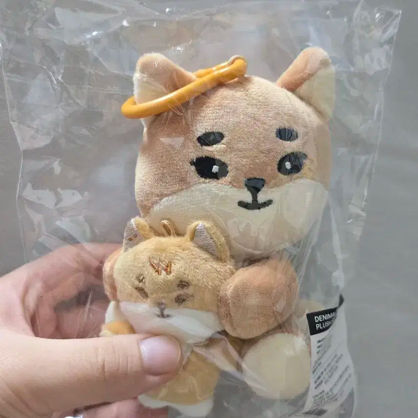 데이식스 나안아 케 양도