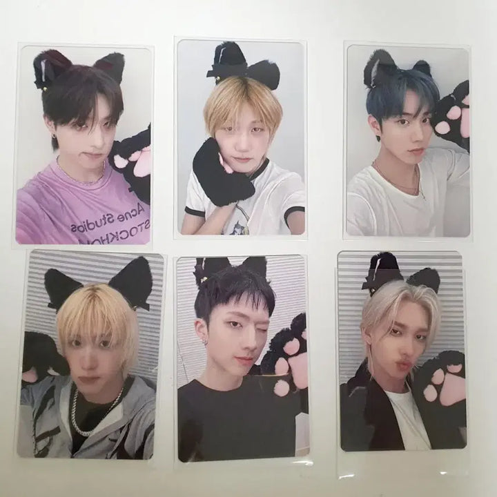 P1H 피원하모니 DUH! 뮤직아트 포토카드 일괄