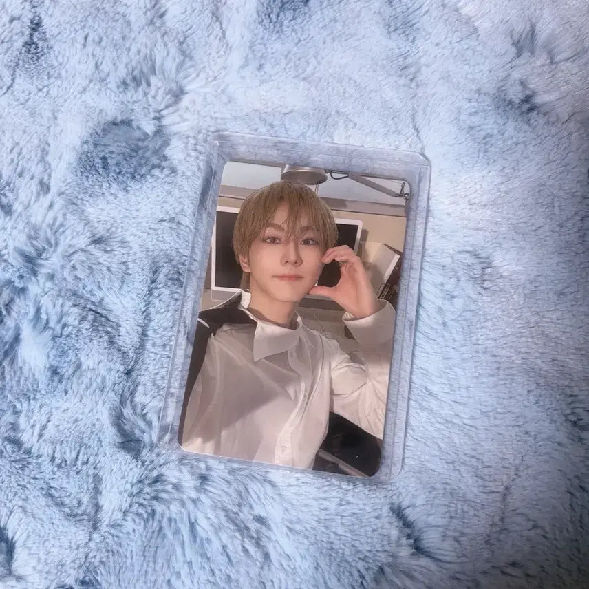 엔하이픈 데이드림 케이팝머치 정원 럭드 포카 양도 판매